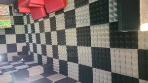 Studio Foams Acoustic Panels Sound Proof