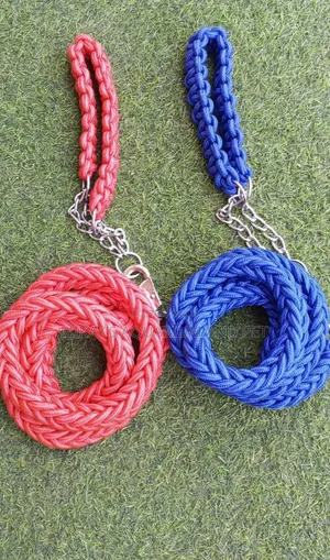 Leashes With Collars for Big Dogs