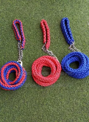 Leashes With Collars for Big Dogs