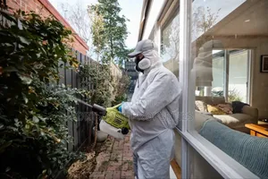Green Light Fumigation With Cleantex