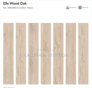 Parquet (Wood) Floor Tiles