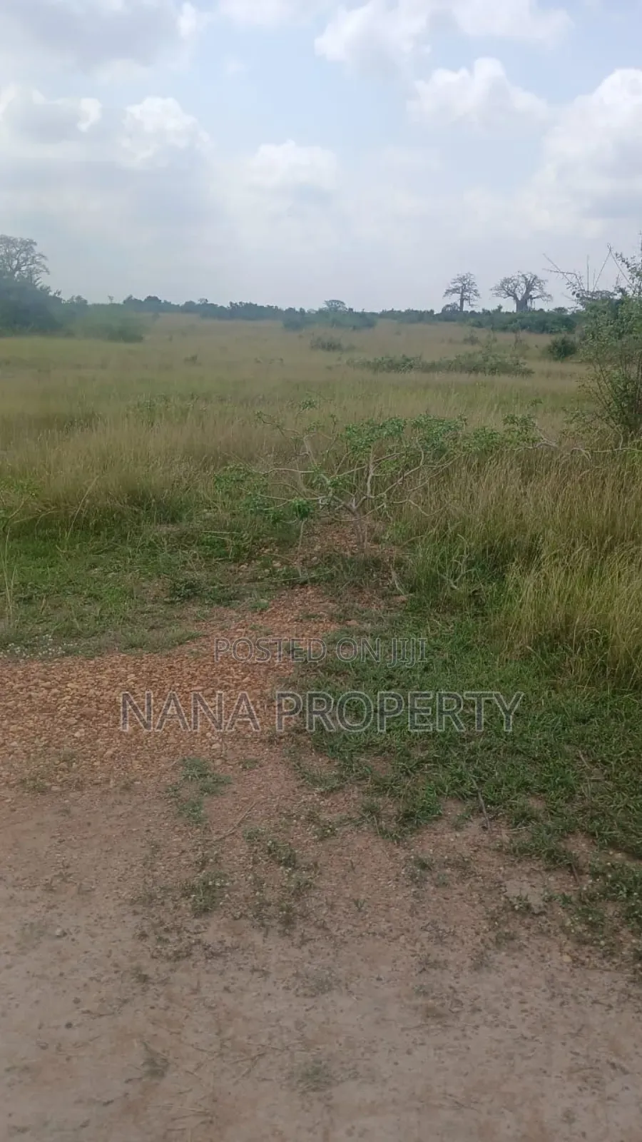 Beach Land for Sale Located at Ada Foah