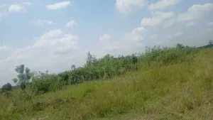 Beach Land for Sale Located at Ada Foah