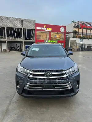 Toyota Highlander XLE 2019 Gray