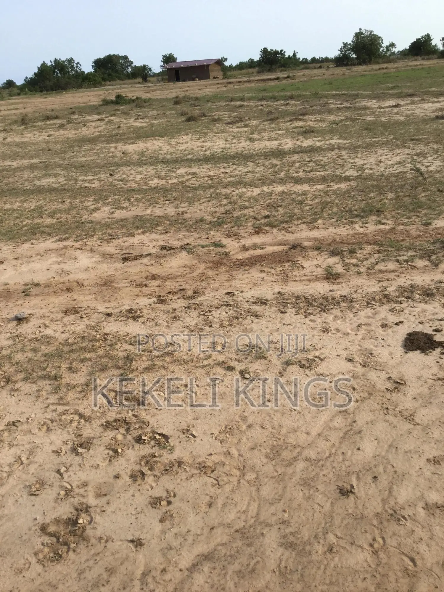 Developing Site (Prampram-city Square) Legit Plots Available