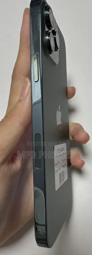 Apple iPhone 13 Pro Max 256 GB Green