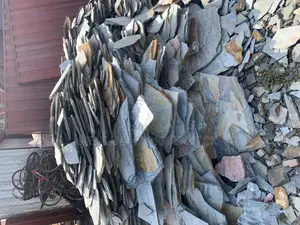 Stone Seler Plus the Service