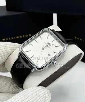 Rectangle Daniel Wellington Mesh Leather Strap Men’S Watch