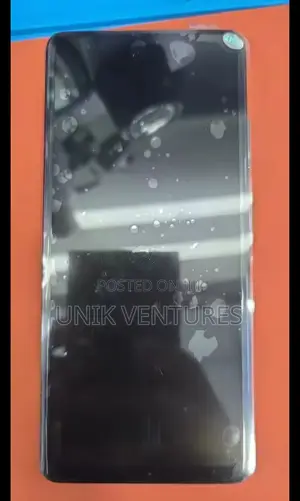 Samsung S21 Ultra Oled Screen