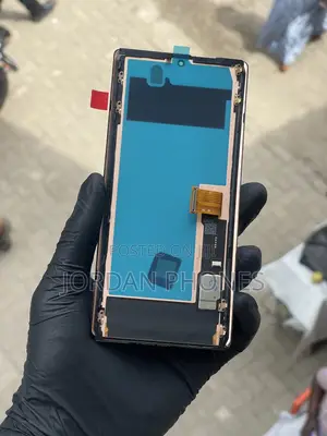 Google Pixel 6 Pro Oled Screen