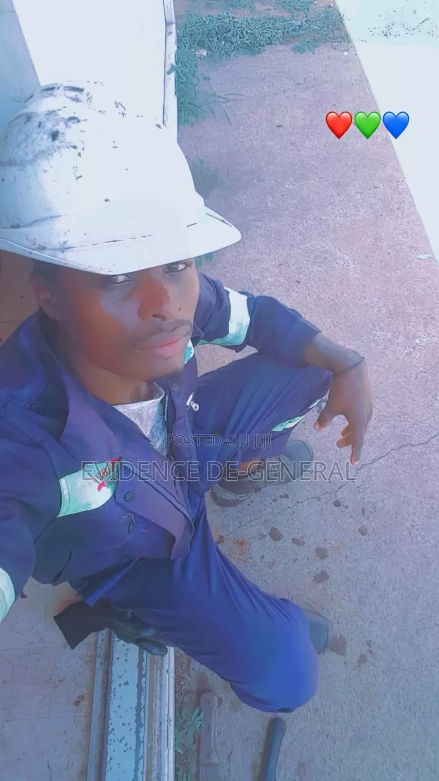 Gardener With Experience