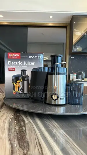 Fruit Processing Juicer
