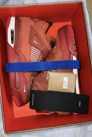 Original Air Jordan 4 _nigel Sylvester_ Brick By Brick