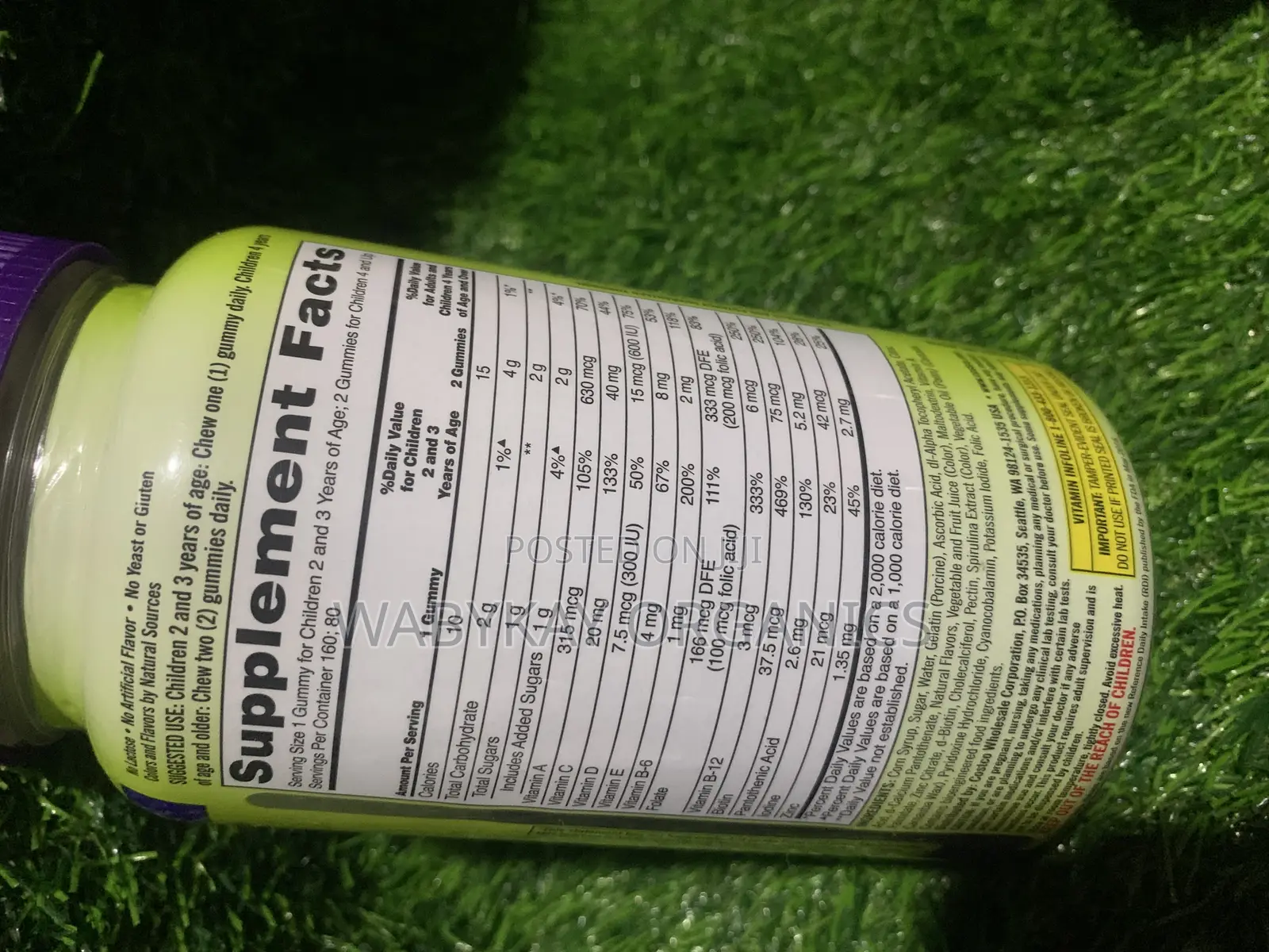 Kirkland Kids Multivitamin Gummies