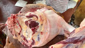 Fresh Caw Meat