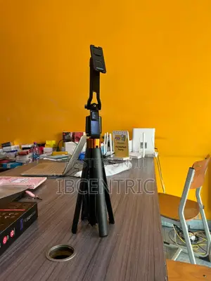 Smart Selfie Stick Q13