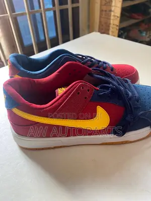 Nike Sb ( Zoom Air