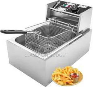 Single Deep Fryer for Startup Restaurants