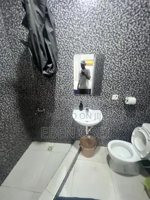 2bdrm Apartment in Dansoman for rent