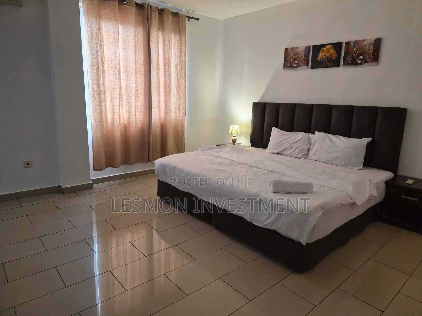 Furnished 2bdrm Apartment in Lesmon Investment, East Legon for rent