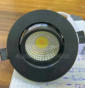 Ceiling Spotlight