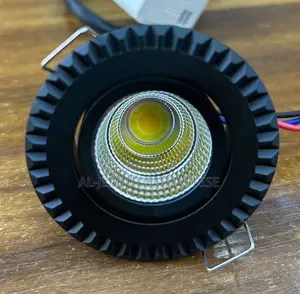 Ceiling Spot Light