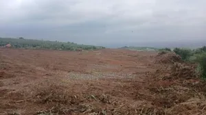Nsawam Land for Sale