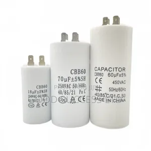Capacitor or Siezes