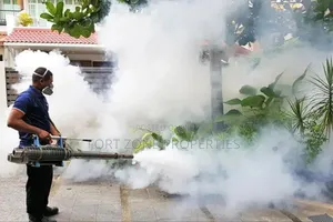 Fumi Ghana With Cleantex