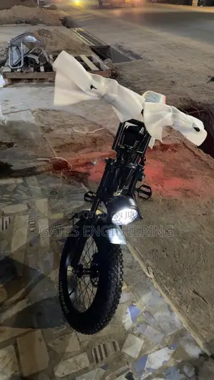 Wahu Electric Bike