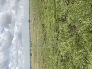 Prampram <> Lands: At Akwaaba Park Well Demarcated to Own