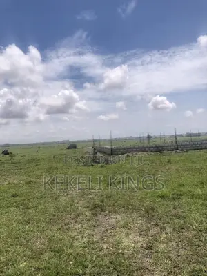 Prampram <> Lands: At Akwaaba Park Well Demarcated to Own