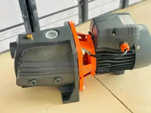 1x1 Inlet Outlet Leo Cast 1.5hp Pump