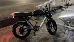 Wahu Electric Bike