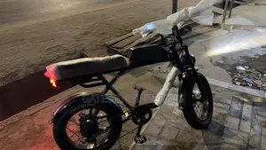 Wahu Electric Bike