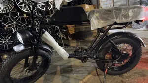 Wahu Electric Bike