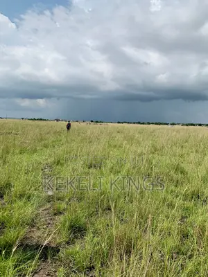 Prampram Lands. Plots Are Well Serviced for Residential Use