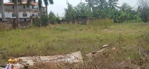 1 Plot of Land at Strategic Area of Tseaddo,For Sale