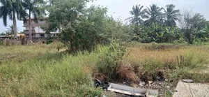 1 Plot of Land at Strategic Area of Tseaddo,For Sale