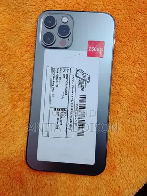 Apple iPhone 12 Pro 256 GB Gray