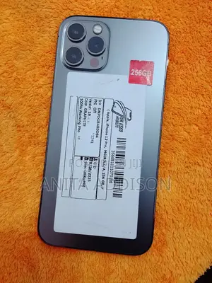 Apple iPhone 12 Pro 256 GB Gray