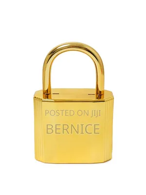 Luxury Gold and Silver Padlock Clutch – Unique Designer Style