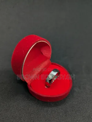 Ceramic Wedding Ring (Silver)