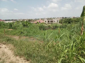 Plot of Land for Sale at Agric Yabi Dida