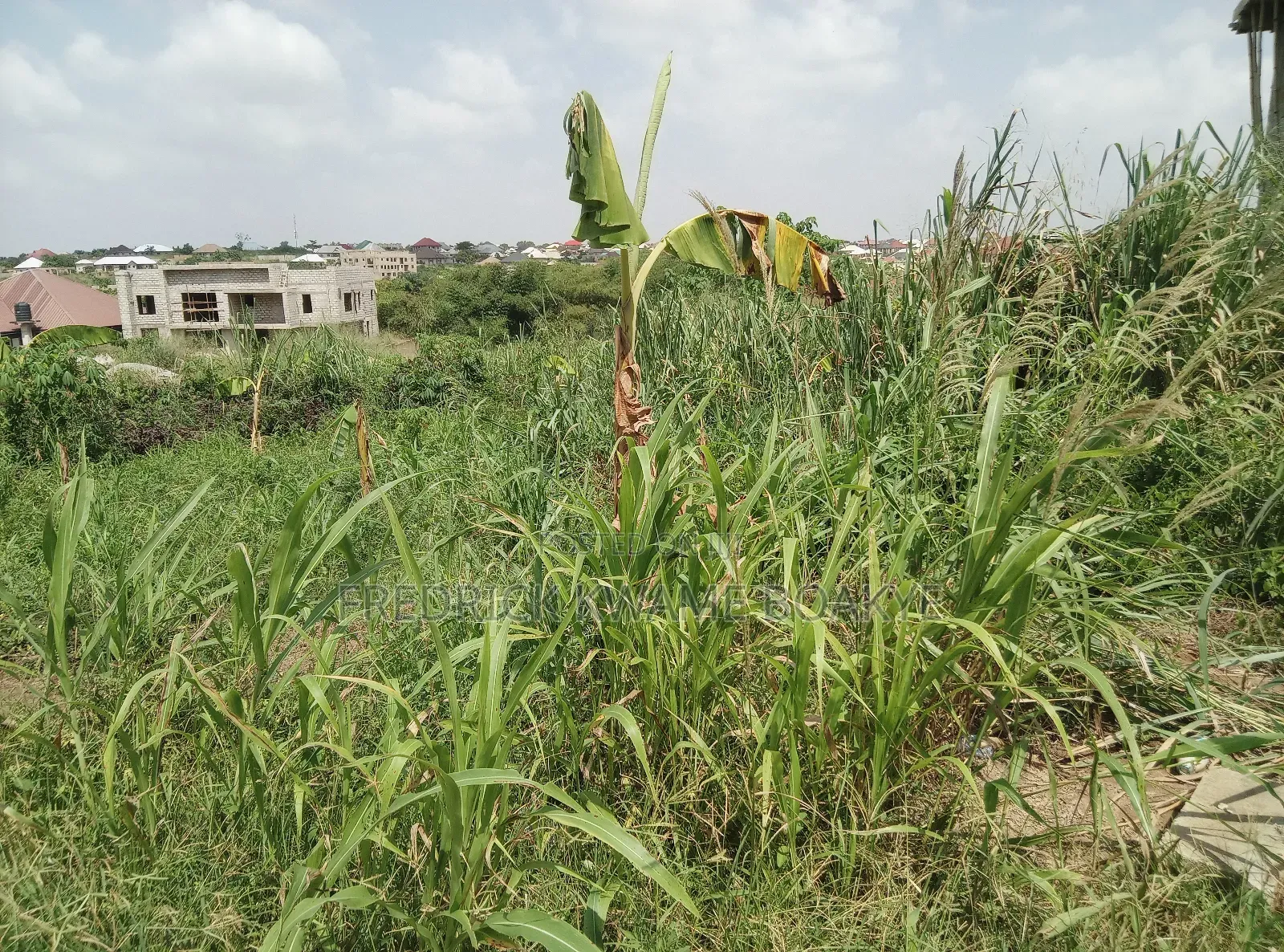Plot of Land for Sale at Agric Yabi Dida