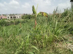 Plot of Land for Sale at Agric Yabi Dida