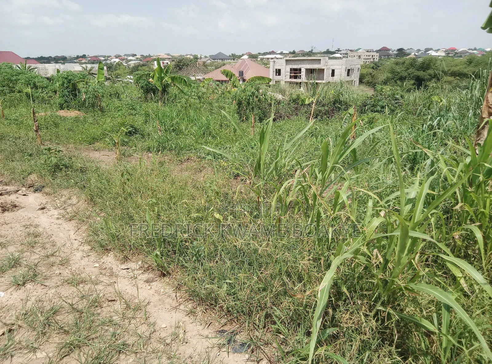 Plot of Land for Sale at Agric Yabi Dida