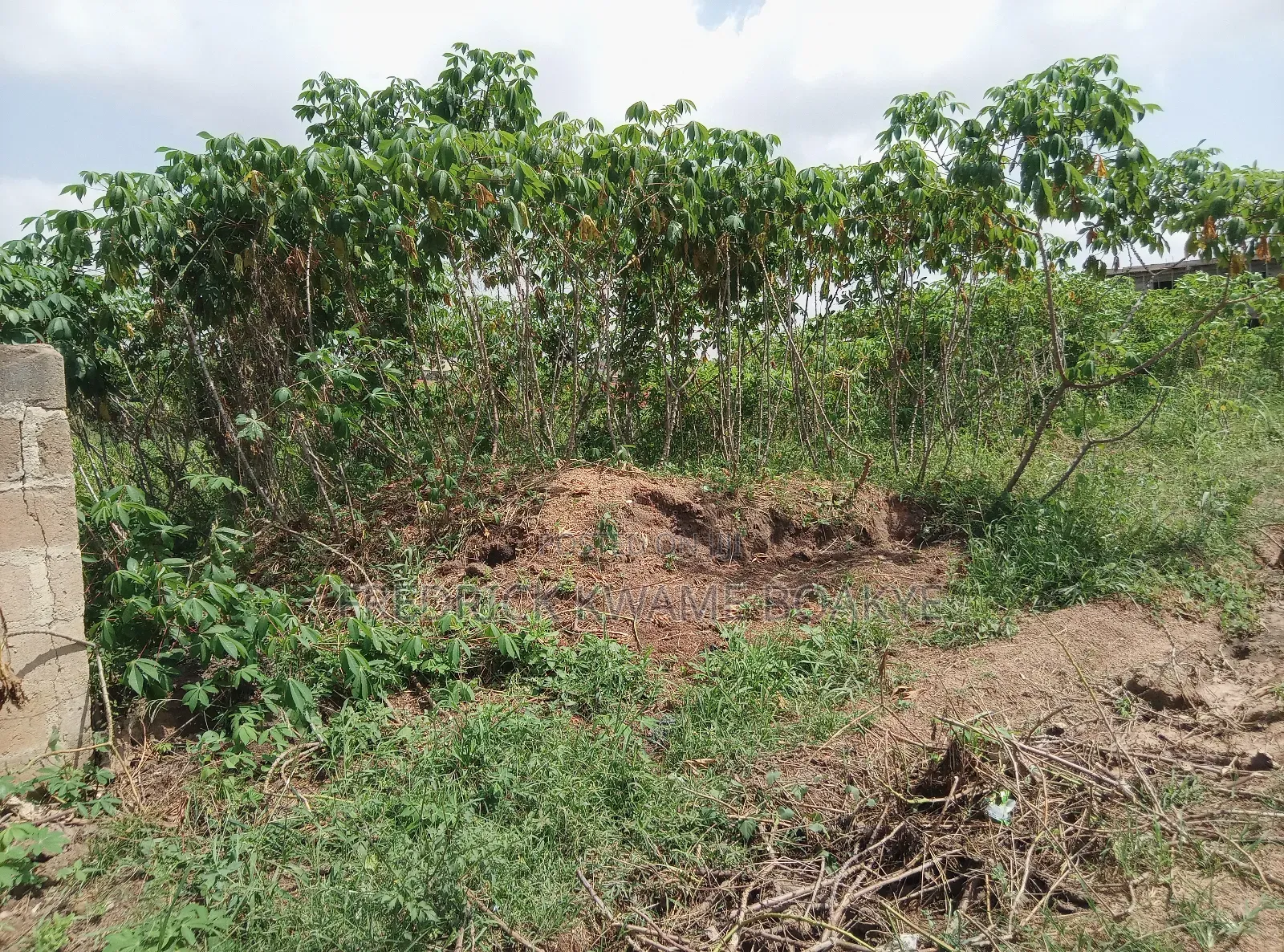 Plot of Land for Sale at Agric Yabi Dida
