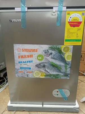 100 Liters Deep Freezer (Snowsea)