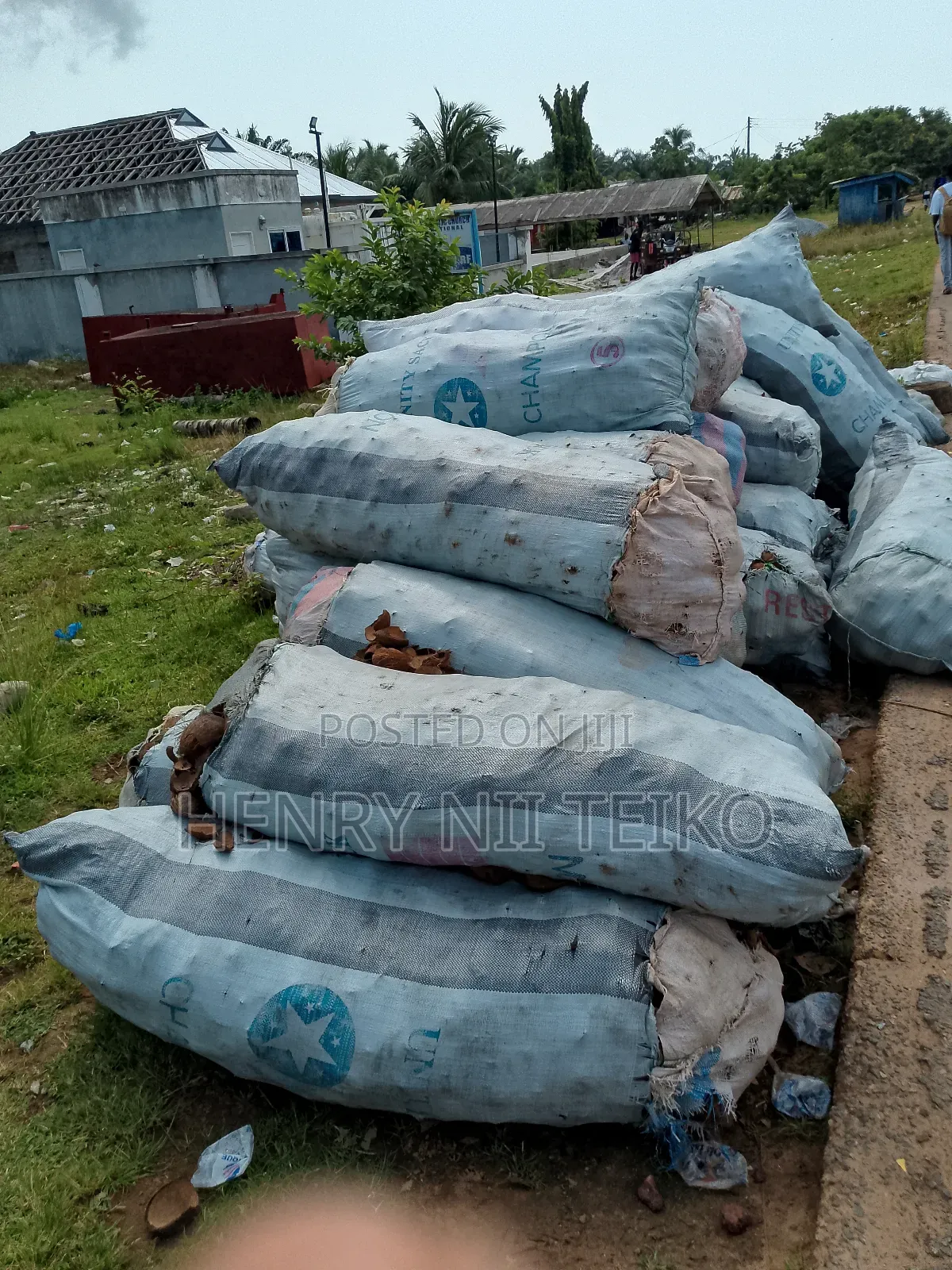 Raw, Uncarbonized Coconut Shells For Sale In Bulk
